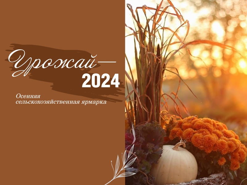 Урожай 2024.