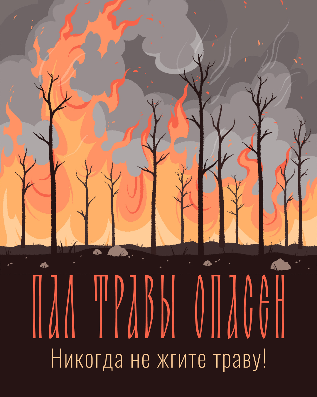 Новгородцам рассказали об опасности пала травы.
