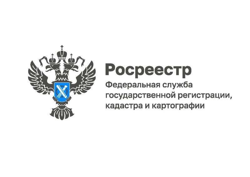 Что делать, если на Госуслугах пришло уведомление о ККР?.