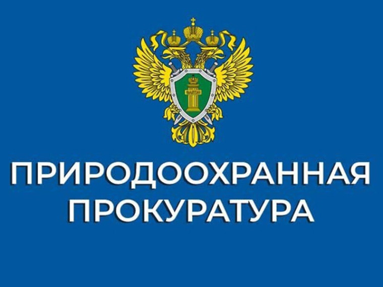 26 августа  с 09:00 до 18:00  Новгородская межрайонная природоохранная прокуратура проведет «горячую линию».