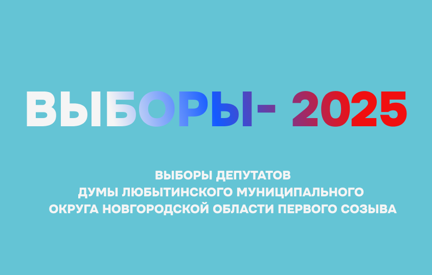 О назначении выборов депутатов Думы Любытинского муниципального округа Новгородской области первого созыва.