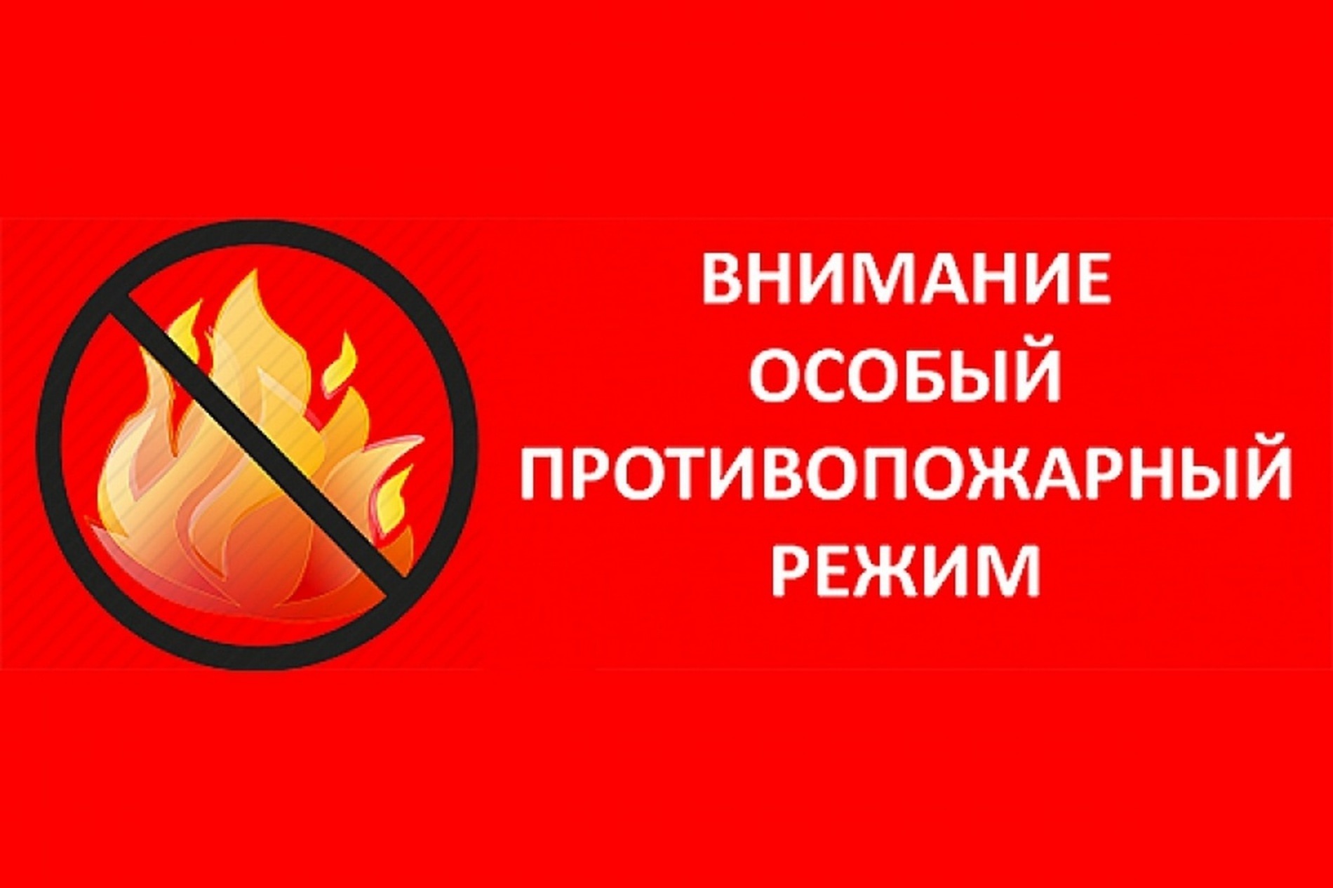 На всей территории Новгородской области установлен особый противопожарный режим.