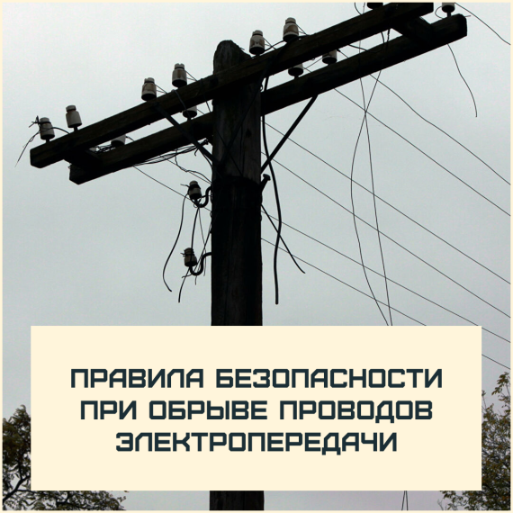 Новгородцам рассказали правила безопасности при обрыве проводов электропередачи. Новгородцам рассказали правила безопасности при обрыве проводов электропередачи.